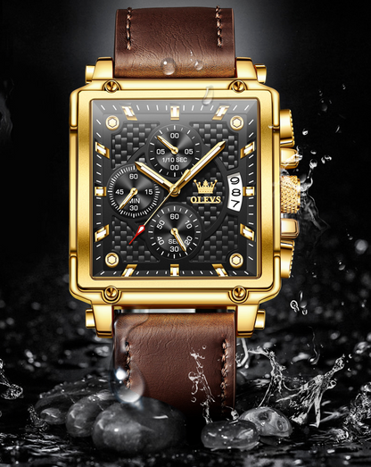 Montre Homme Marque OLEVS